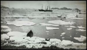 Image of S.S. Roosevelt, North Greenland